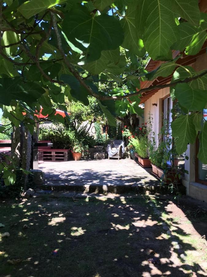 Pilgrims Rest - Vila Nova De Cerveira - Hostel - Albergue - Al Экстерьер фото