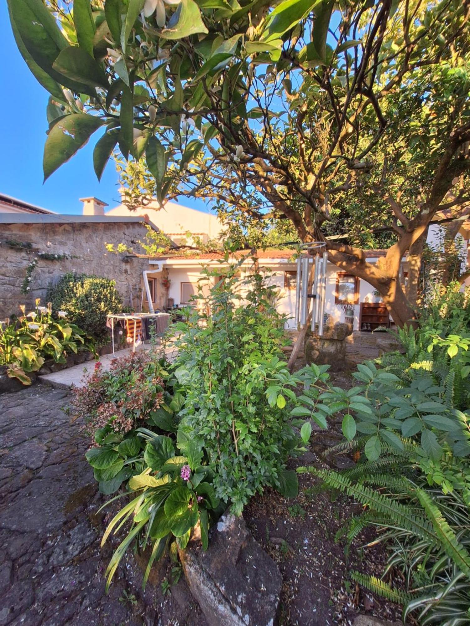 Pilgrims Rest - Vila Nova De Cerveira - Hostel - Albergue - Al Экстерьер фото